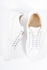 Mason Garments MG52-7D1 Tia Bardolino Cream