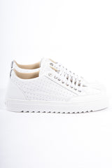 Mason Garments MG52-7D1 Tia Bardolino Cream